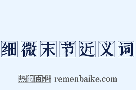 细微末节近义词是什么意思的图片